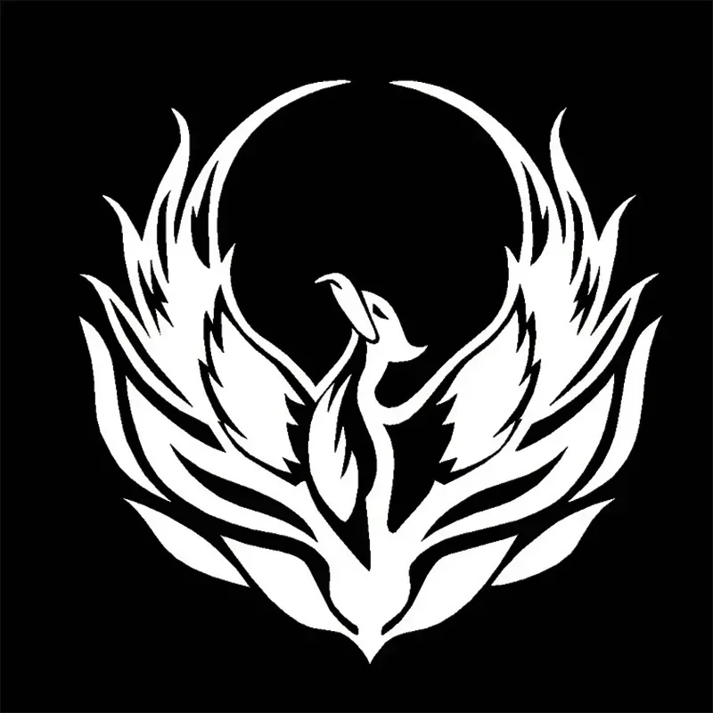 Stiker Mobil Keren Flame Fire  - Car Accessories Phoenix ulasan dan harga